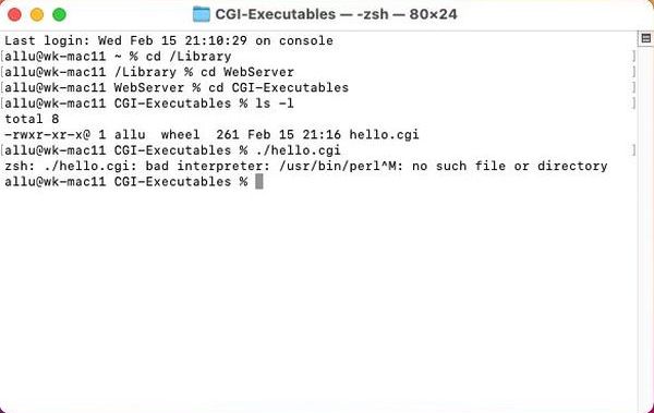 Perl CGI on macOS: 'Bad interpreter' error when running a script that was developed on MS Windows