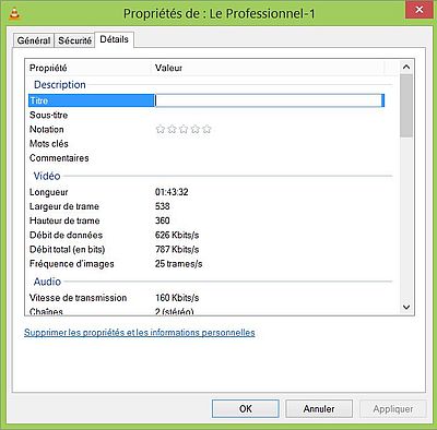 Converting a WebM file to MP4 using HandBrake [2]