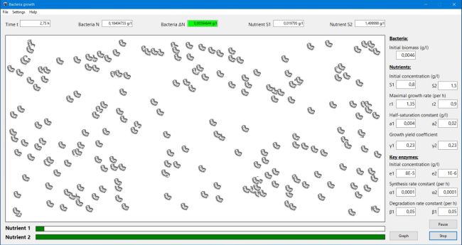 Bacteria growth on 2 substrates: Simulation window