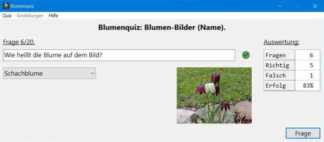 Blumenquiz: Den Namen der auf dem Bild gezeigten Blume erraten