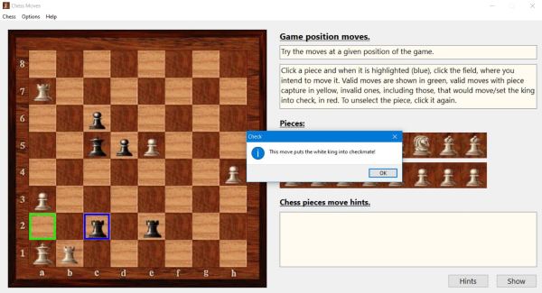 PC application to learn how the chess pieces move: Setting the opponent checkmate