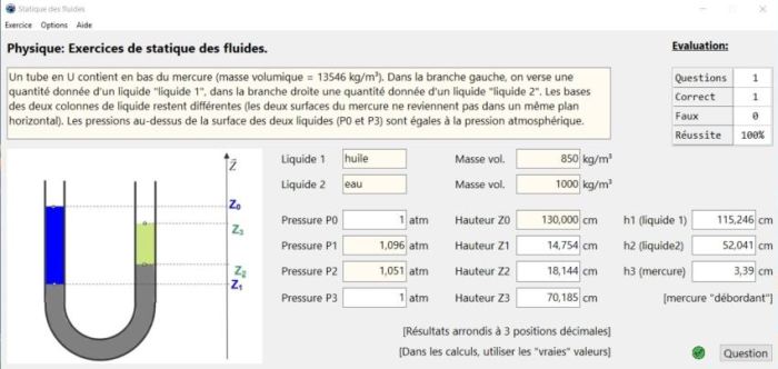 Physics trainer PC application: Fluid statics exercises
