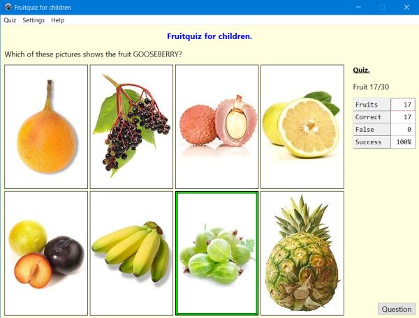 Fruits picture quiz for children PC application