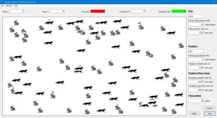 2-species predator-prey PC application: Simulation window