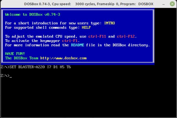 Linux Mint: DOSBox start-up window