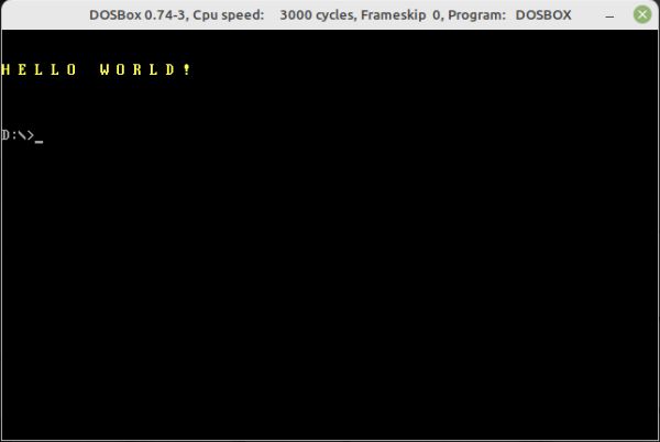 Linux Mint: Running a DOS 16 bit Free Pascal executable in DOSBox
