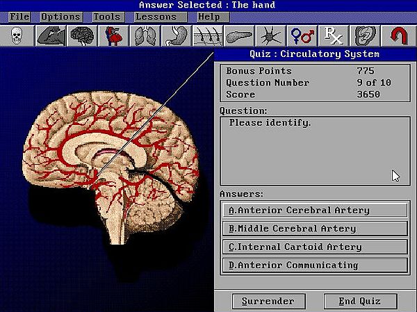 Bodyworks 3.0 on MS-DOS 7.10: Circulatory system quiz