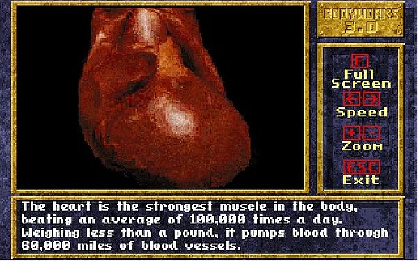Bodyworks 3.0 on MS-DOS 7.10: Videos - Beating heart (external view)