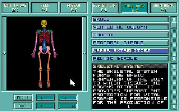 Body Illustrated 1992 on MS-DOS 7.10: Skeletal system exploration - Entire body