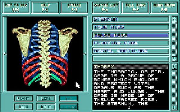 Body Illustrated 1992 on MS-DOS 7.10: Skeletal system exploration - Thorax (back view)