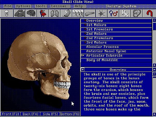 Bodyworks 3.0 on MS-DOS 7.10: Skeletal system exploration - The skull