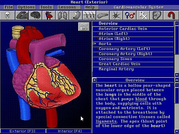 Bodyworks 3.0 on MS-DOS 7.10: Cardiovascular system exploration - The heart
