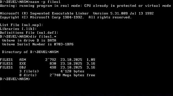 NASM on FreeDOS: Building a protected mode assembly program
