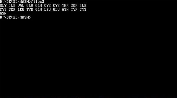 NASM on FreeDOS: Assembly program example - Reading from a file