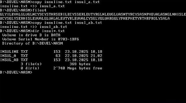 NASM on FreeDOS: Assembly program example - Appending to a file