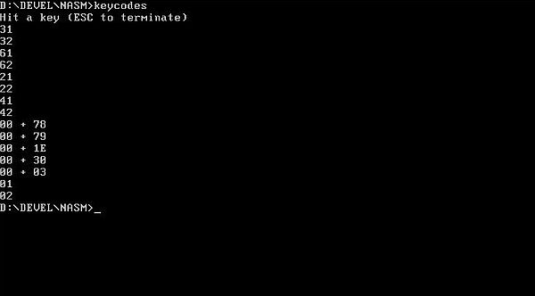 NASM on FreeDOS: Assembly program example - Keystroke codes [2]