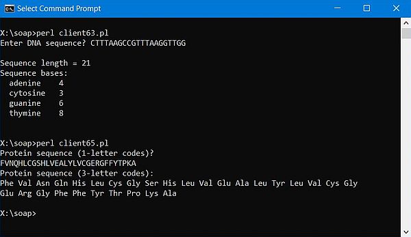 SOAP client with Perl - Two clients accessing a dynamically dispatching server