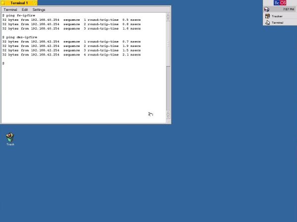 BeOS 5 Professional: Network - Ping of an IPFire firewall-router machine from BeOS