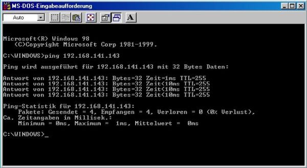 BeOS 5 Personal Edition post-installation setup: Network - Pinging BeOS from a Windows 98 computer