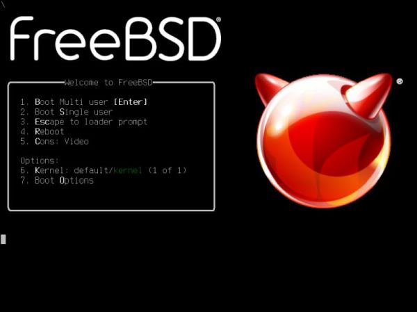 Installing FreeBSD on VMware: Booting 'multi user' from the FreeBSD DVD