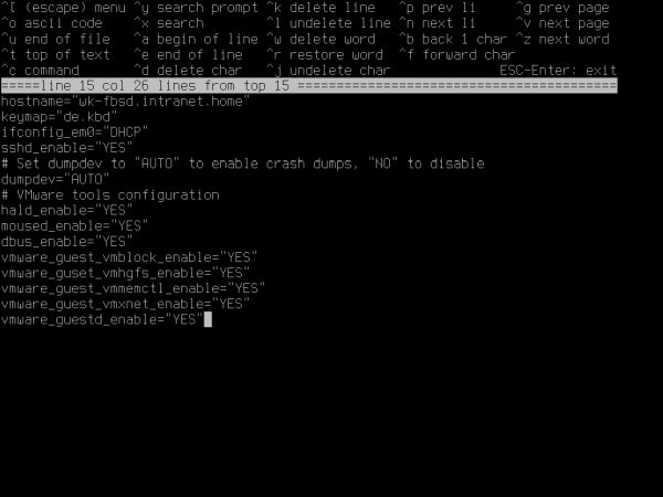 Installing FreeBSD on VMware: Editing the file '/etc/rc.conf'