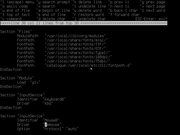 Installing FreeBSD on VMware: Editing the file '/root/xorg.conf.new' [1]