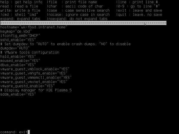 Installing FreeBSD on VMware: Enabling SDDM in '/etc/rc.conf'