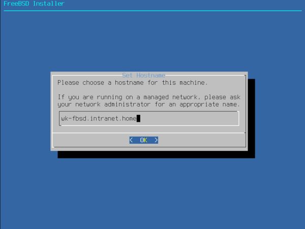 Installing FreeBSD on VMware: Setting the hostname