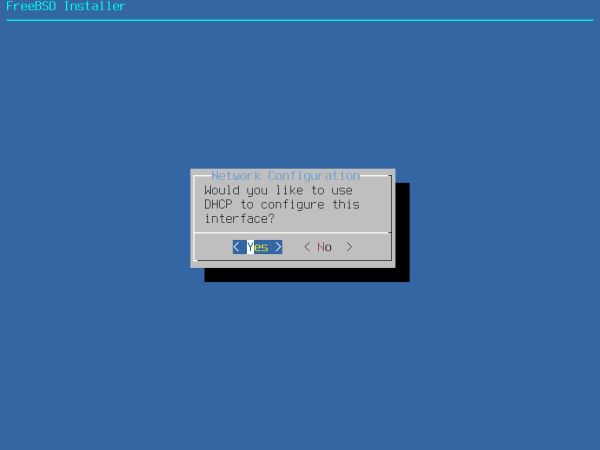Installing FreeBSD on VMware: Network setup - Using DHCP to configure the network interface