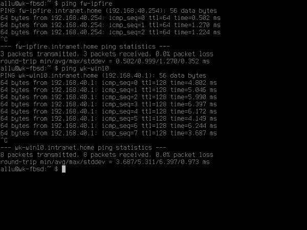 Installing FreeBSD on VMware: Working in the FreeBSD terminal (pinging other machines on the network)