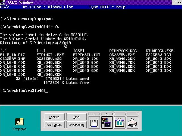 SNAP graphics driver on OS/2 Warp 3: Content of the folder WP3FP40 displayed in OS/2 Command Prompt