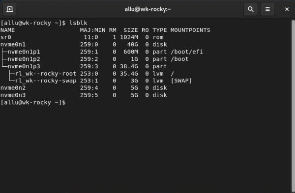 Installation of a RAID 1 on Rocky Linux: Display of the disks and partitions