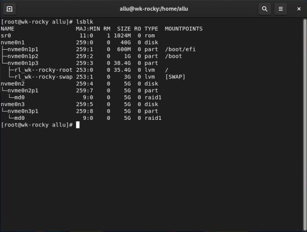 Installation of a RAID 1 on Rocky Linux: Partition layout after the creation of the RAID
