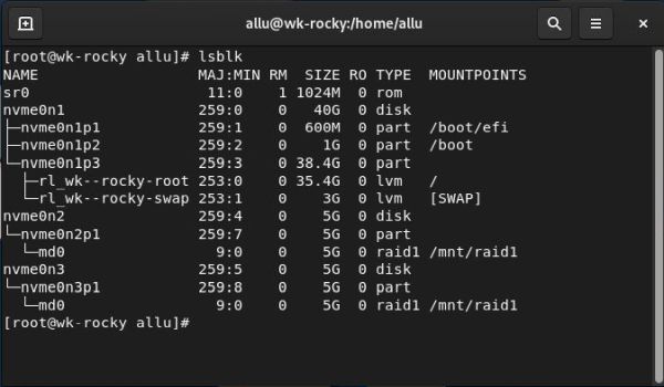 Installation of a RAID 1 on Rocky Linux: Partition layout after having mounted the RAID device