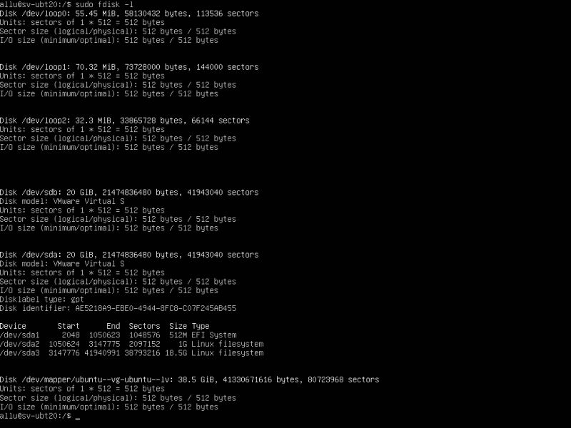 Ubuntu server LVM disk storage layout viewed in fdisk