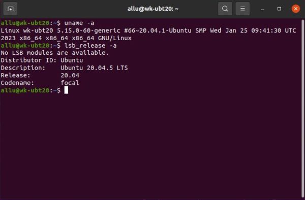 Ubuntu system information: Kernel version and OS release version info