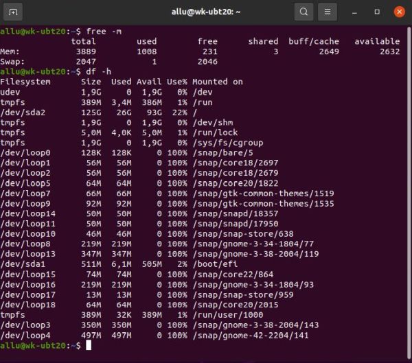 Ubuntu system information: Memory and disk usage info