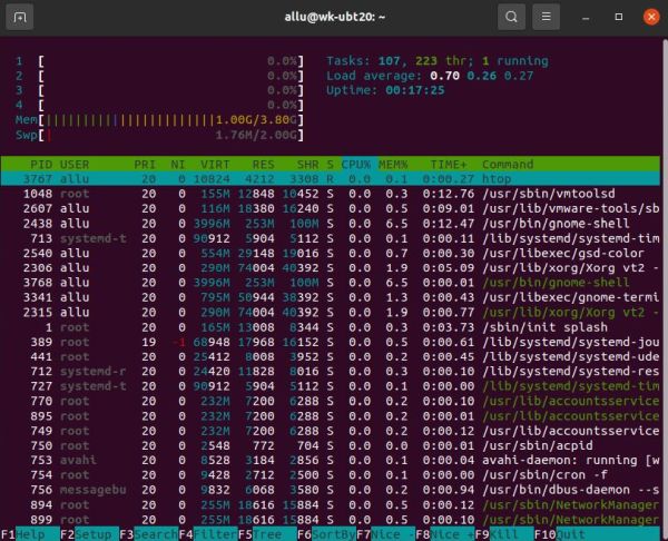 Ubuntu system information: Process real time infoemation, using the 'htop' command [1]
