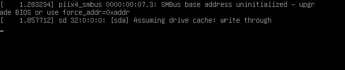 SMBus Host Controller error on Linux Mint running on VMware