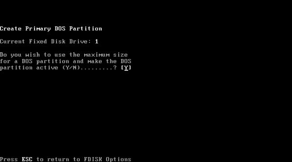 Windows 1.x and 2.x installation on VMware: fdisk - Choosing to use the entire disk for the DOS partition