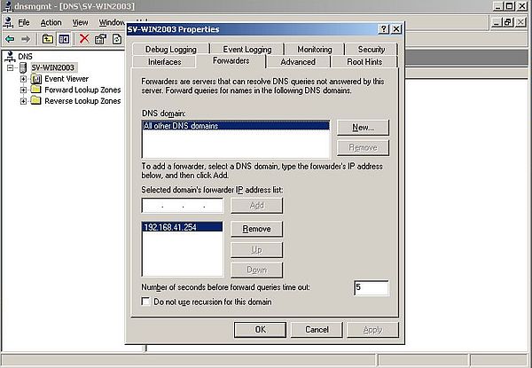 Windows Server 2003: Client DNS - Configuring a DNS forwarder