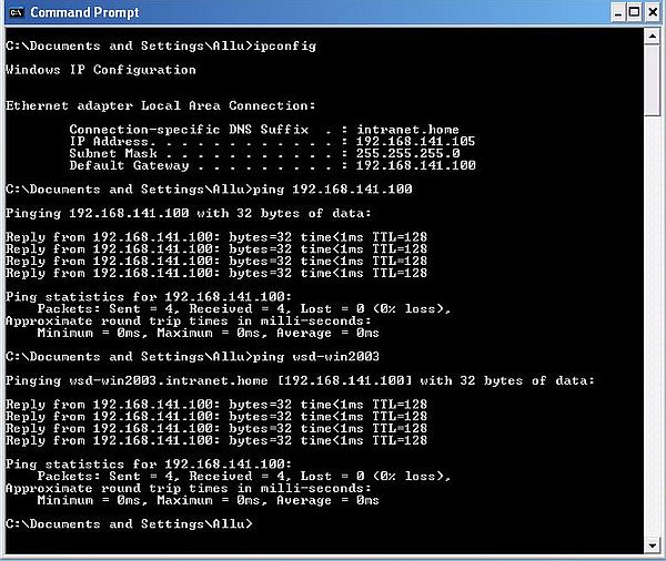 Windows Server 2003: Login from Windows XP - Testing connectivity and DNS