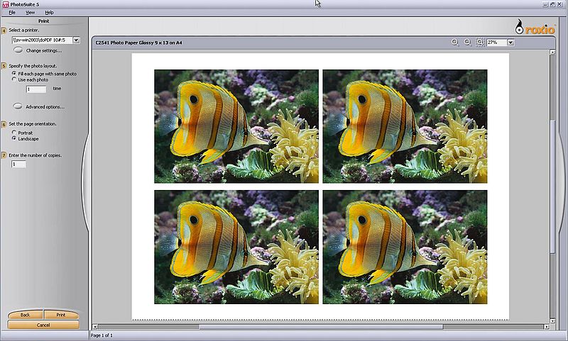 Windows Server 2003: Printer sharing - Printing from Roxio PhotoSuite on Windows XP [2]