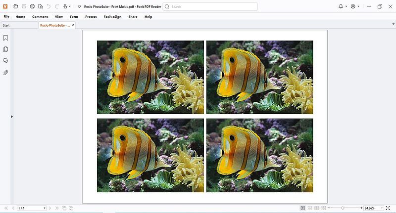 Windows Server 2003: Printer sharing - Printing from Windows XP to a virtual PDF printer on the VMware host [2]