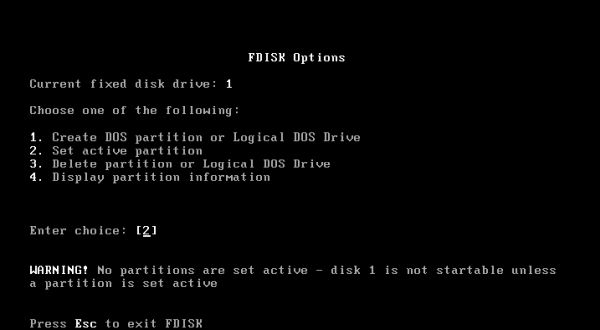Windows 95 installation: fdisk - selecting to set the active partition