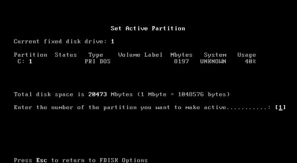 Windows 95 installation: fdisk - entering the number of the partition to be set active