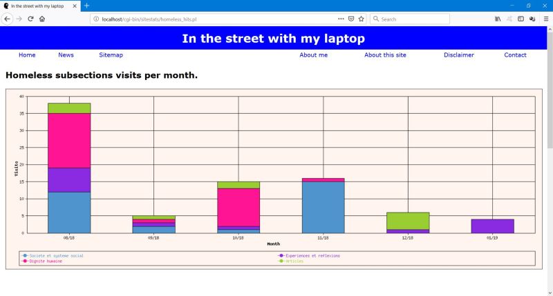 Monthly 'homeless' subsections visits chart