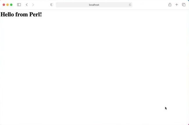Perl CGI on macOS: Correct execution of the Perl script after enabling CGI