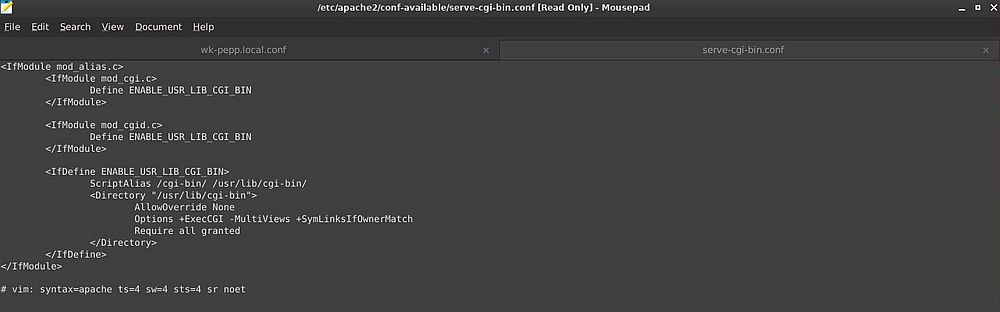 Apache on Peppermint OS: CGI scripting configuration file
