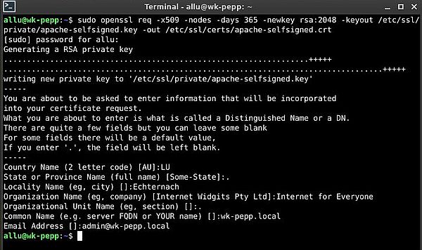 Apache on Peppermint OS: Generating a self-signed SSL certificate